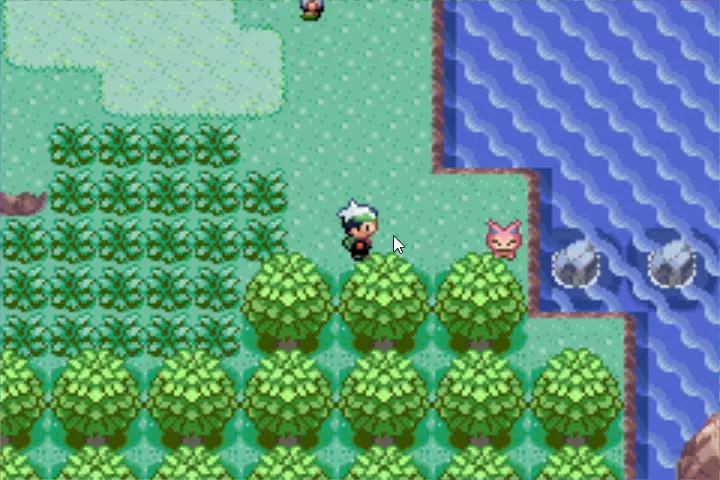 wildbattle.webp